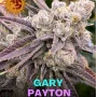 Семена конопли Gary Payton от Barney's Farm
